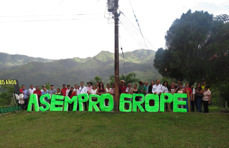COLOMBIA ORGANIC TOLIMA ASEMPROGROPE - 42622 - Intend Ship: Nov 09, 2026 - RCWHSE