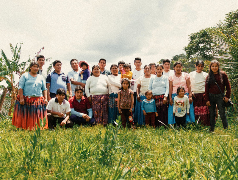 BOLIVIA ORGANIC CARANAVI ALJIRI - 39120-1 - GrainPro Bags - SPOT DUPUYHOU