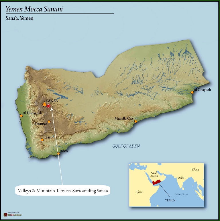 Yemen Mocca Sanani - 38144-3 - Ecotact Bags - SPOT SEAFORTH