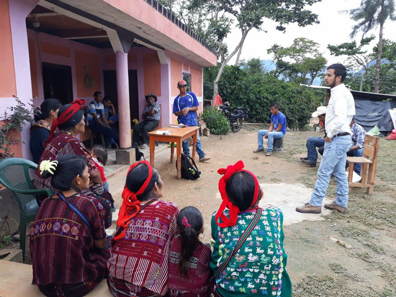 GUATEMALA ORGANIC HUEHUETENANGO ASOPCE SHB EP - 41800 - GrainPro Bags - January 2027 Shipment - RCWHSE