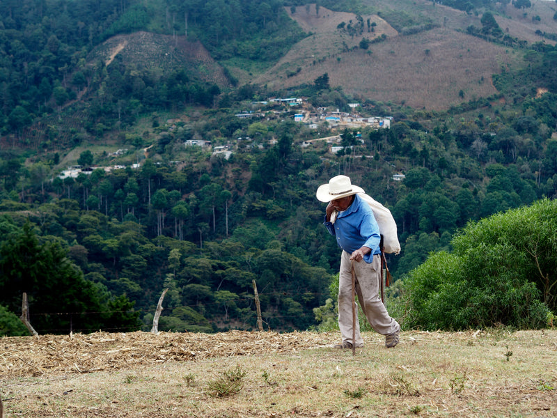 GUATEMALA ORGANIC SHB EP - 37996 - Ecotact Bags - SPOT COMIDWEST