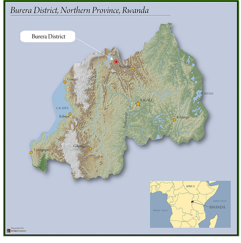 Rwanda Burera Natural - Lot 1 - 38182 - GrainPro Bags - SPOT RCWHSE