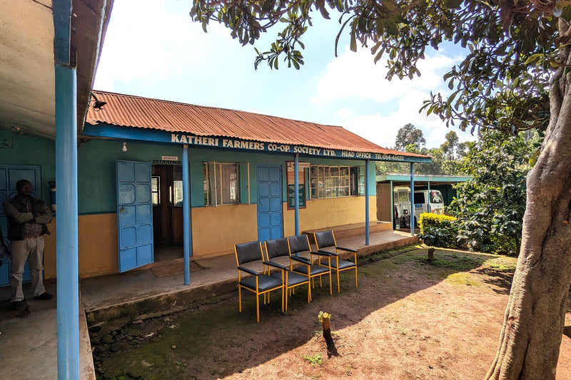 Kenya Meru Gichugene AA  - 49EC0032 - 38773 - GrainPro Bags - SPOT RCWHSE