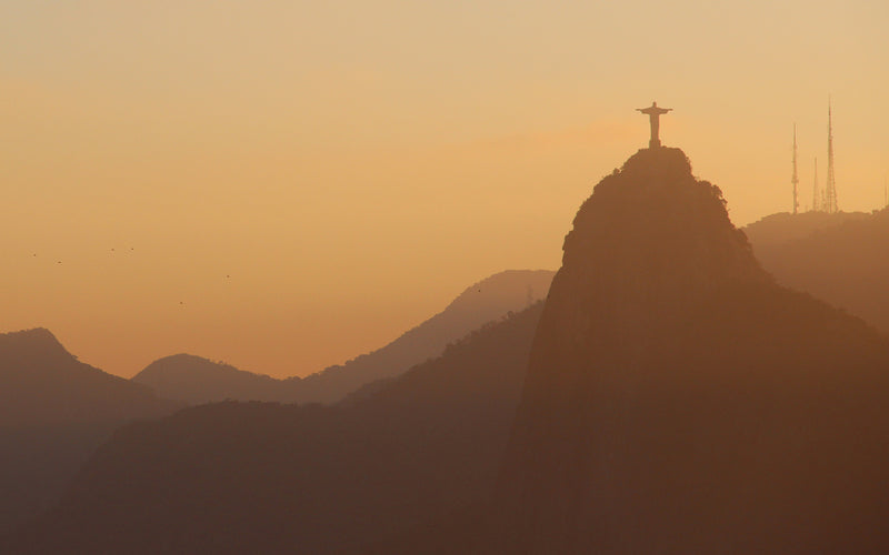 BRAZIL ORGANIC NOSSA SENHORA DE FATIMA 15+ - 40238-2 - Videplast Bags - SPOT COMIDWEST