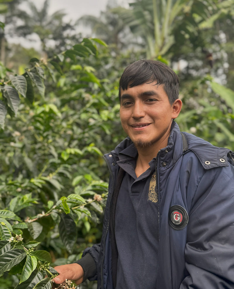 PERU ORGANIC SAN IGNACIO LUIS COLUNCHE LA FORTUNA - 39004 - GrainPro Bags - SPOT SEAFORTH