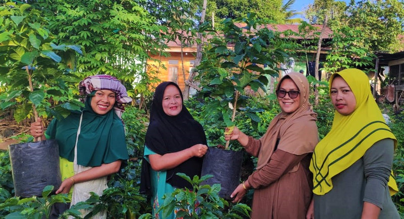 SUMATRA FT-FLO ORGANIC KOKOWAGAYO WOMEN'S COOPERATIVE GRADE 1 - 38187 - SPOT COMIDWEST