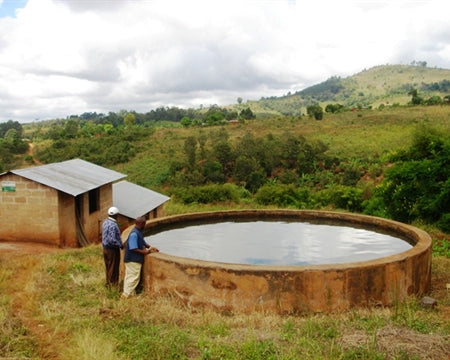 Tanzania Ruvuma Washed Peaberry - *51266* - 25730-4 - GrainPro Bags - SPOT DUPUYHOU