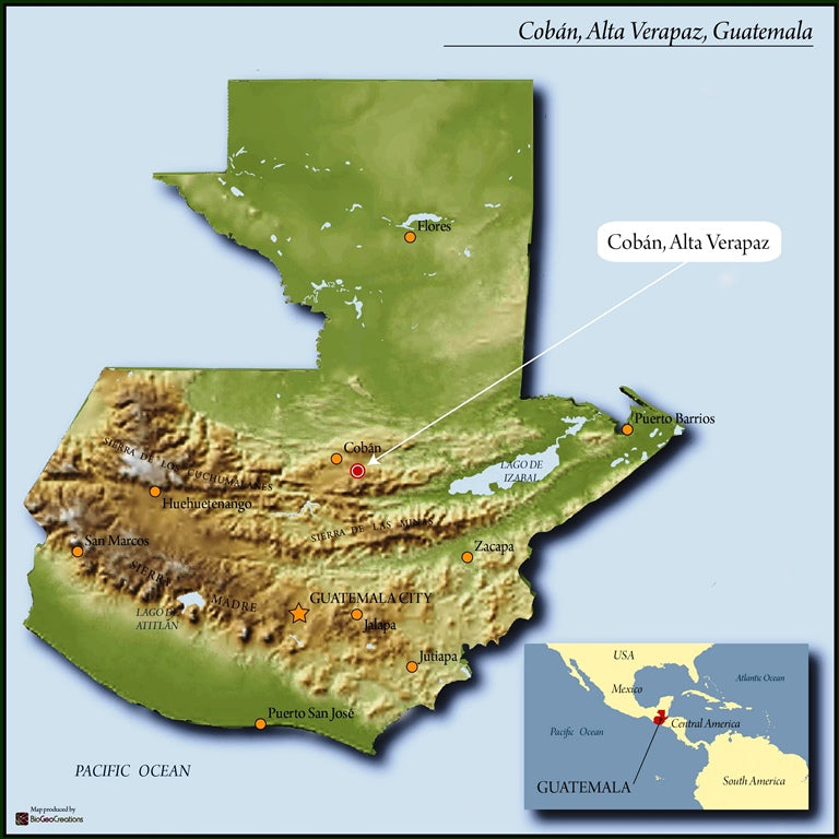 Guatemala Coban Finca Santa Isabel - Perfil Amargo - 31601 - Ecotact Bags - SPOT RCWHSE