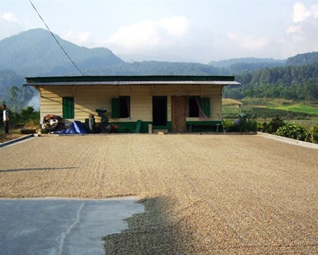 Sumatra Lake Toba Samosir Honey - 33306 - Ecotact Bags - SPOT RCWHSE