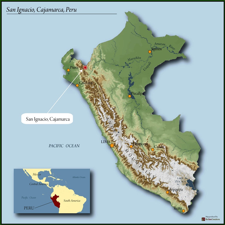 PERU ORGANIC PAKAMUROS - 38071 - SPOT RCWHSE