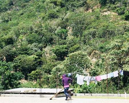 Mexico Oaxaca Pluma Sierra Sur Ozolotepec - 31320 - GrainPro Bags - SPOT DUPUYHOU