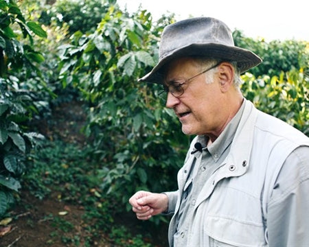 El Salvador Santa Leticia Natural Bourbon - *50861* - 25429 - GrainPro Bags - SPOT RCWHSE