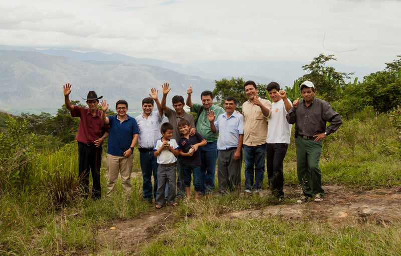 PERU ORGANIC SELVA ANDINA - 31868 - SPOT RCWHSE