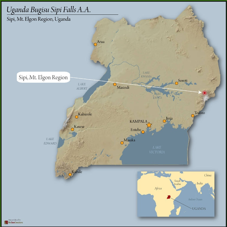 UGANDA ORGANIC WHITE NILE NATURAL - *52624* - 27307-2 - GrainPro Bags - SPOT RCWHSE