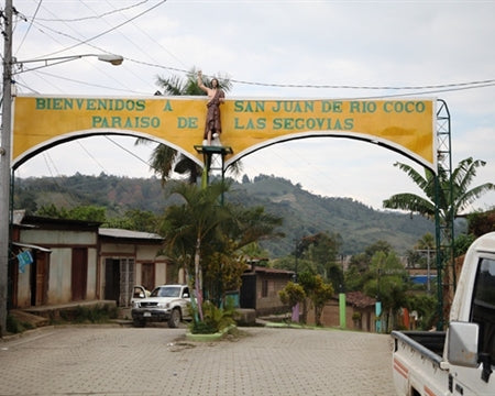 NICARAGUA FT ORGANIC SMBC UCA SAN JUAN RIO COCO SHG EP - *49580* - 24862 - Ecotact Bags - SPOT RCWHSE