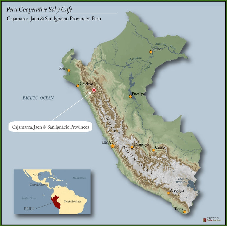 PERU FT-FLO/USA ORGANIC SOL Y CAFE SHG EP - 31146 - SPOT SEAFORTH