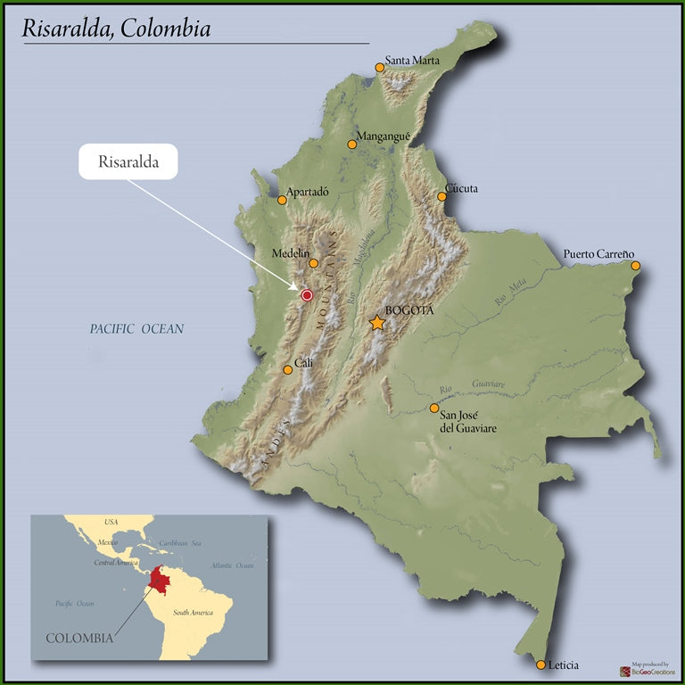Colombia Lucero Supremo 17/18 - 30030-1 - 70.1 kg Bags - SPOT COSEATAC