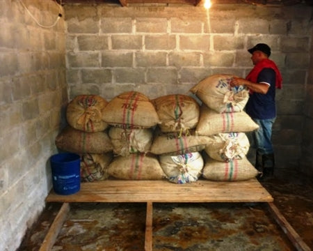 COLOMBIA FT-FLO ORGANIC SIERRA NEVADA AGROSEC - *51671* - 24469-5 - 69.8 kg GrainPro Bags - SPOT SHANGHAI
