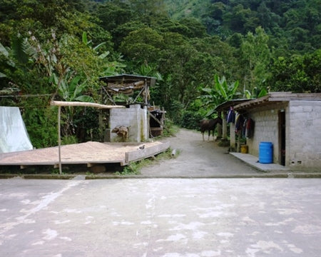 COLOMBIA FT-FLO ORGANIC SIERRA NEVADA AGROSEC - *51671* - 24469-5 - 69.8 kg GrainPro Bags - SPOT SHANGHAI