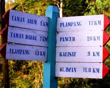 JAVA ORGANIC KAYUMAS TAMAN DADAR WET HULLED - 28981-5 - GrainPro Bags - SPOT SEAFORTH