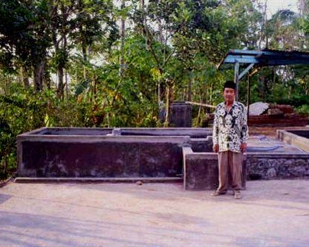 JAVA ORGANIC RFA KAYUMAS TAMAN DADAR WET HULLED - 31540 - SPOT COSEATAC