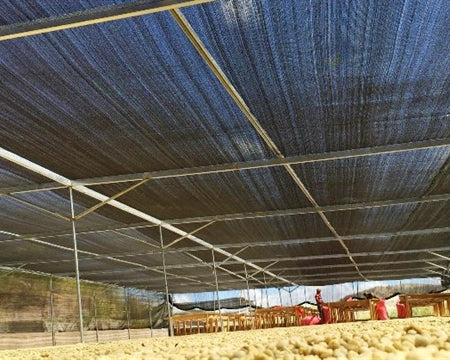 NICARAGUA ORGANIC GRUPO EDEN FINCA TERMOPILAS - *50275* - 23656 - Ecotact Bags - SPOT RCWHSE
