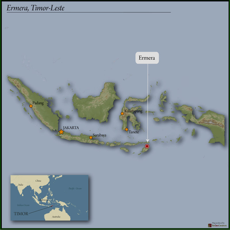 Timor-Leste Ermera Letefoho - 35983 - GrainPro Bags - SPOT RCWHSE