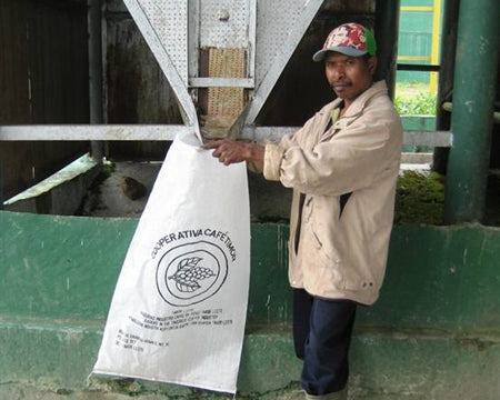 TIMOR ORGANIC WASHED ROBUSTA - 30418 - SPOT COSEATAC