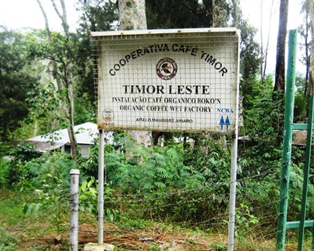 TIMOR FT ORGANIC - *50398* - 23866 - SPOT RCWHSE
