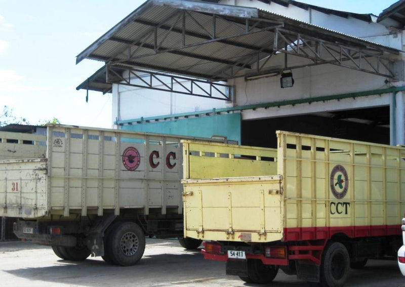 TIMOR FT-FLO/USA ORGANIC - *50368* - 23847 - SPOT RCWHSE