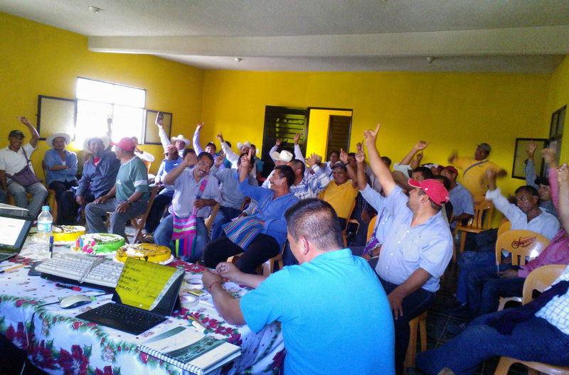 MEXICO FT-FLO ORGANIC CHIAPAS TZELTAL TZOTZIL ALTURA EP - 30754 - GrainPro Bags - SPOT RCWHSE