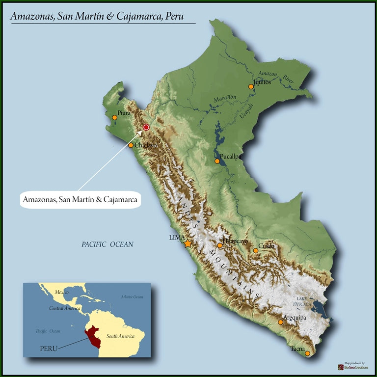 Peru Vida Alta SHB EP - *50491* - 24608 - SPOT RCWHSE