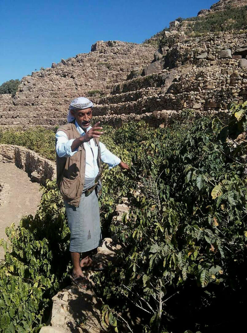 Yemen Mocca Hawari - *47786* - 24905 - Ecotact Bags - SPOT RCWHSE