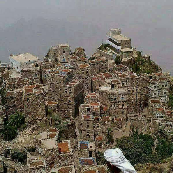 Yemen Mocca Hawari - *47786* - 24905 - Ecotact Bags - SPOT RCWHSE