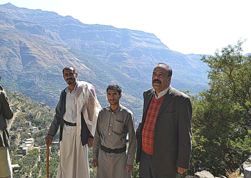 Yemen Mocca Peaberry - 33755-1 - 60.0 kg Ecotact Bags - SPOT RCWHSE