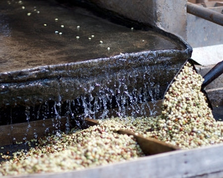 Ethiopia Yirgacheffe 2 Washed Konga - Lot 1 *50287* - 25502 - GrainPro Bags - SPOT RCWHSE
